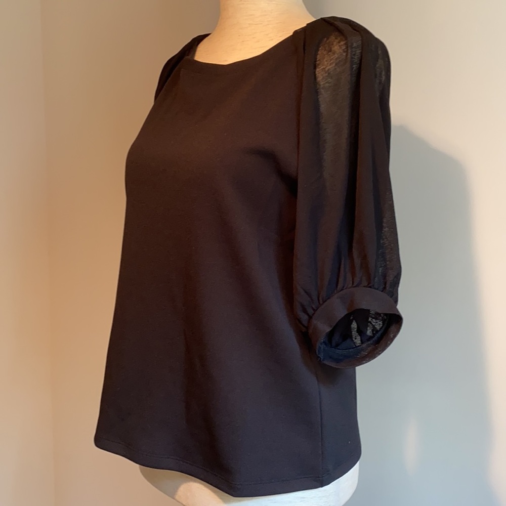 NWOT Banana Republic Top with Sheer Sleeves